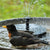 SolarStream™ Zonne-aangedreven Waterfontein