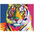 Rainbow Tiger | Number Painting - Science Factory