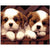 Schattige Puppies - Number Painting - Science Factory